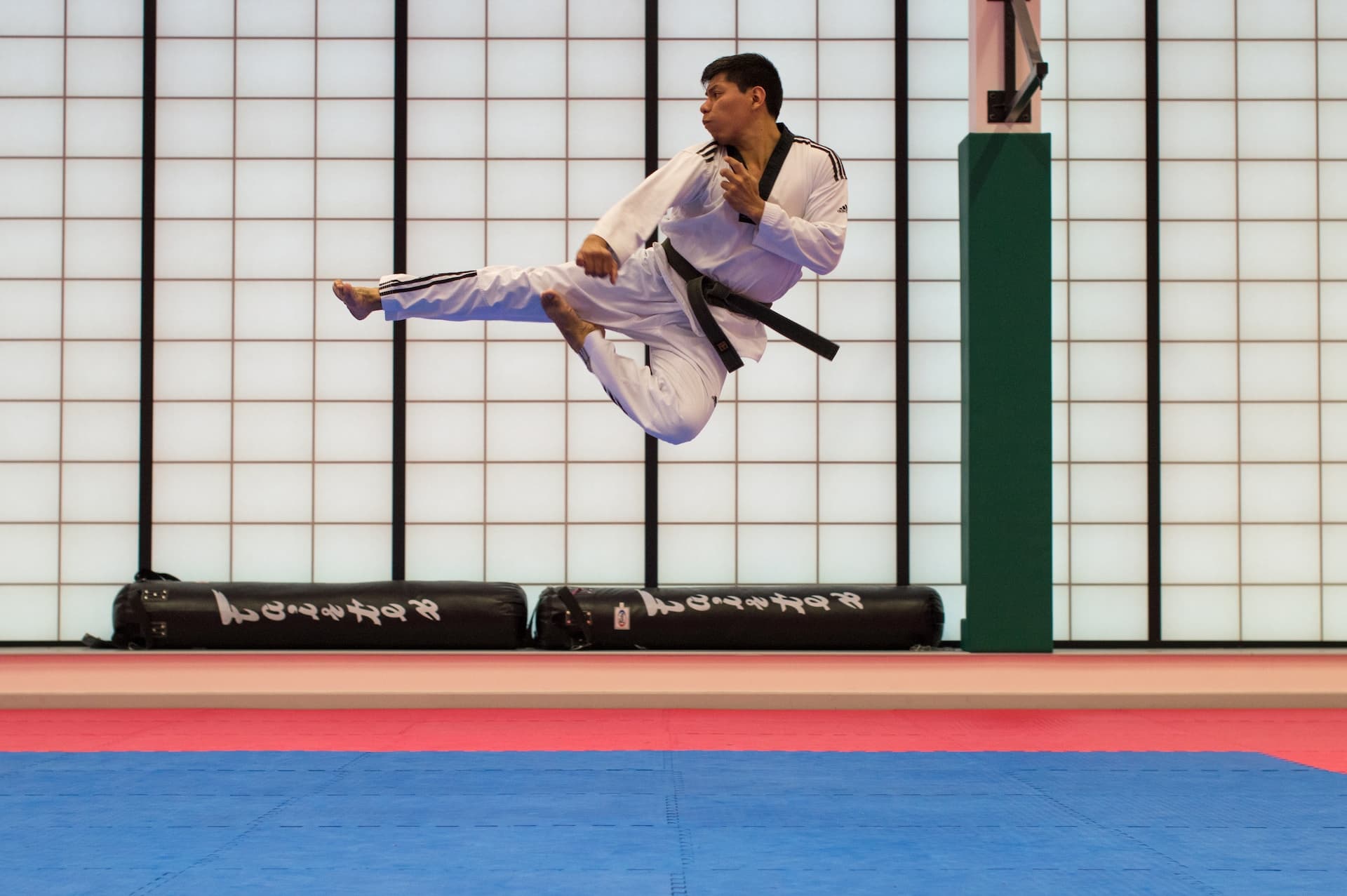 Taekwondo kicking